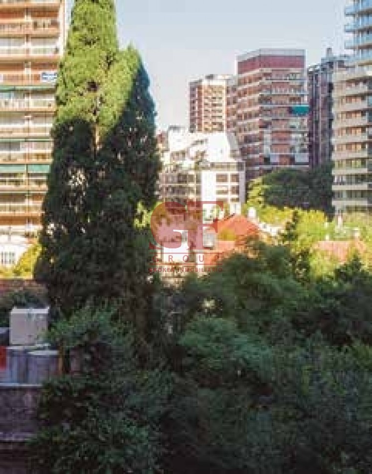 En el lado verde de Belgrano.  Proyecto joven en un barrio consolidado.