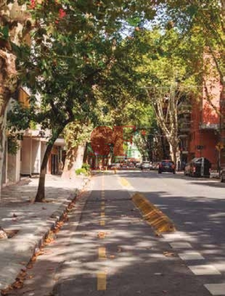 En el lado verde de Belgrano.  Proyecto joven en un barrio consolidado.